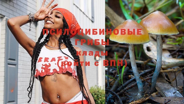 герыч Надым