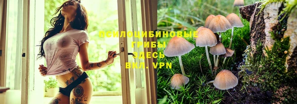 прущая мука Навашино