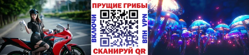 Купить где  Алексеевка  Псилоцибиновые грибы MAGIC MUSHROOMS 